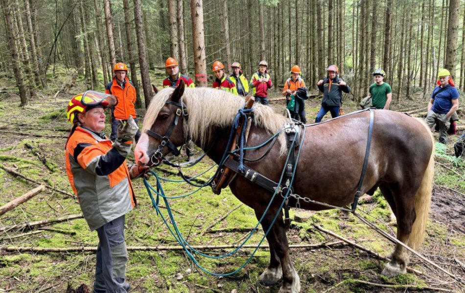 18. KWF-Tagung – Das Weltgrößte Waldarbeit- Und Forsttechnik-Event 2024